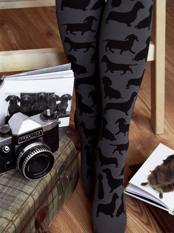 Dachshund tights